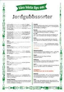 4. Jordgubbssorter