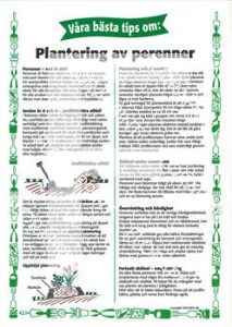 9. Plantering av perenner