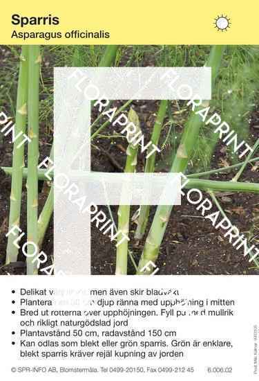 Asparagus officinalis (sparris)