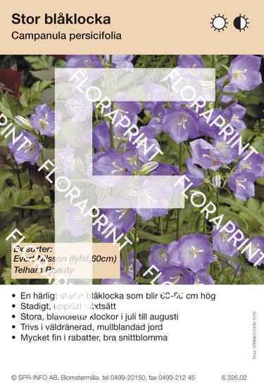 Blomkort 1206-1270.indd Campanula persicifolia (blå) sorter: