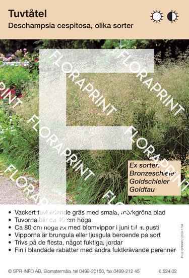 Blomkort 1746-1800.indd Deschampsia cespitosa (sorter:)