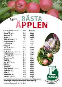 E-planta; Våra bästa äpplen