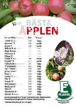 E-planta; Våra bästa äpplen