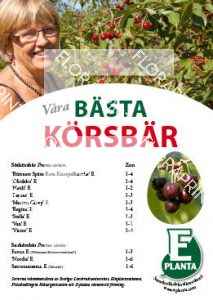 E-planta; Våra bästa körsbär