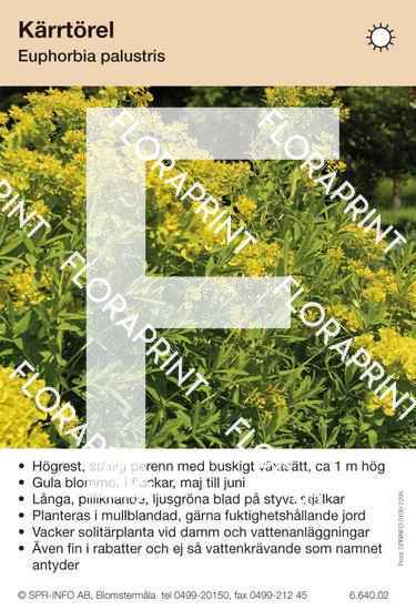 Euphorbia palustris