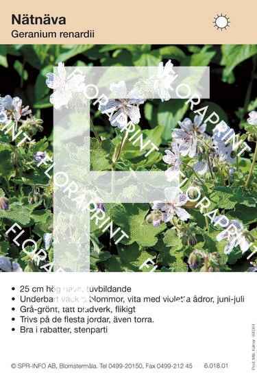 Geranium renardii