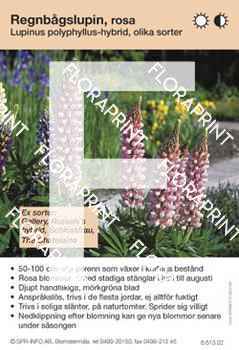 Lupinus regalis (fd polyphyllus) allm rosa (sorter:)