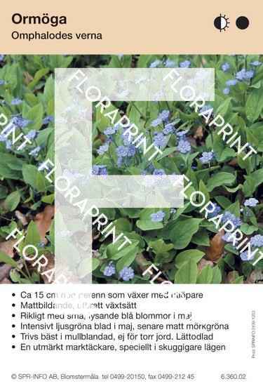 Omphalodes verna