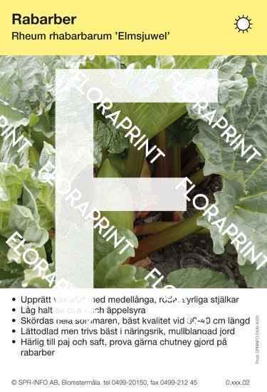 Rabarber Elmsjuwel