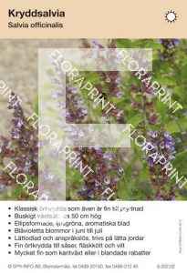 Salvia officinalis