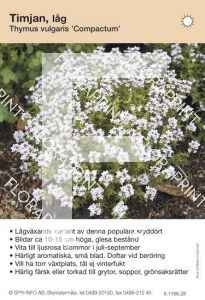 Thymus vulgaris Compactum