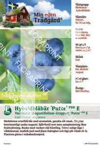 Vaccinium (Angustifolium-Grp) Putte E (M.e.t.)