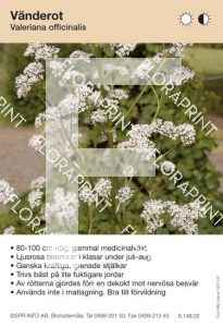 Valeriana officinalis