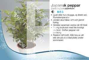 Zanthoxylum piperatum