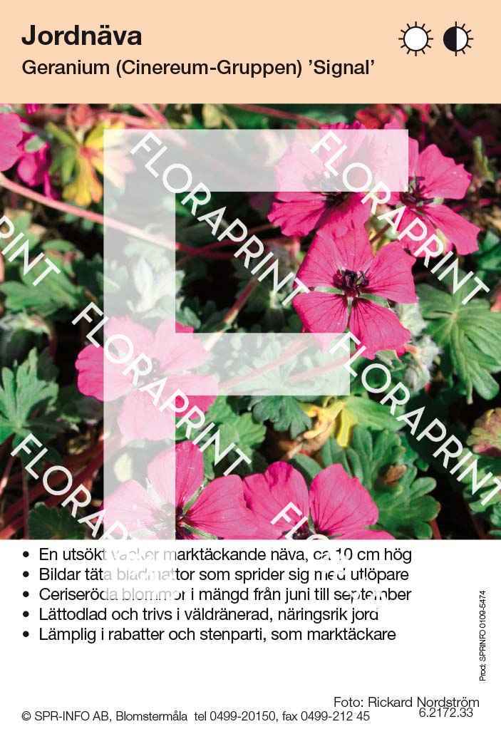 Geranium Cinereum-Grp Signal