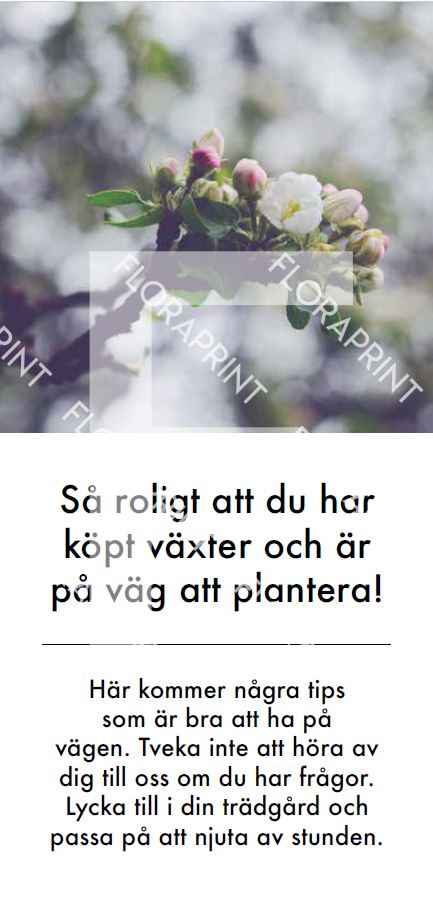 Framsida planteringsråd med etableringsgaranti Planteringsråd med etableringsgaranti och egen logo, 3000 st.